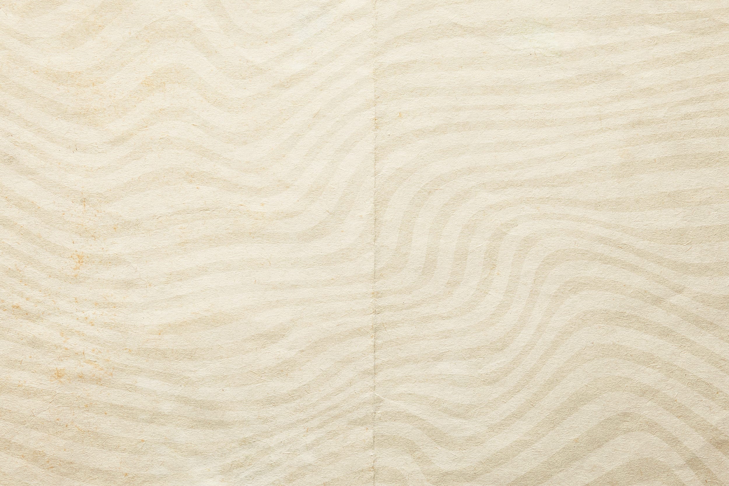 cc_slide_back1