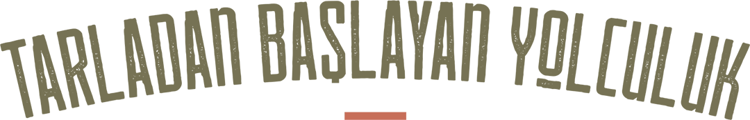 cc_slide_text1